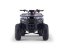 Benzínová čtyřkolka pro děti Beneo Motors WARRIOR modrá - 125cm3
