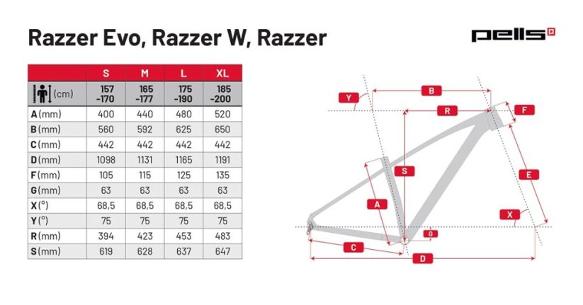 Horský bicykel Pells Razzer Evo 2 2024 silver