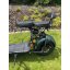 Lera Scooters C1+ 1500W elektrický skútr zelený