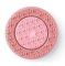NuSkin ageLOC LumiSpa Silicone Head Rose Gold– Normal
