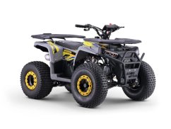 Benzínová štvorkolka pre deti Beneo Motors WARRIOR žltá - 125cm3