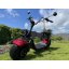 Elektrická kolobežka Lera Scooters C1+ 1500W červená