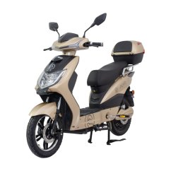 Elektroskúter RACCEWAY® E-FICHTL®, zlatý-lesklý, bez batérie