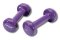 Činka aerobic 2 x 1 kg Tunturi Vinyl fialová