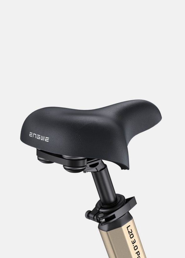 Elektrobicykel Engwe L20 3.0 Pro 2025 zlatá