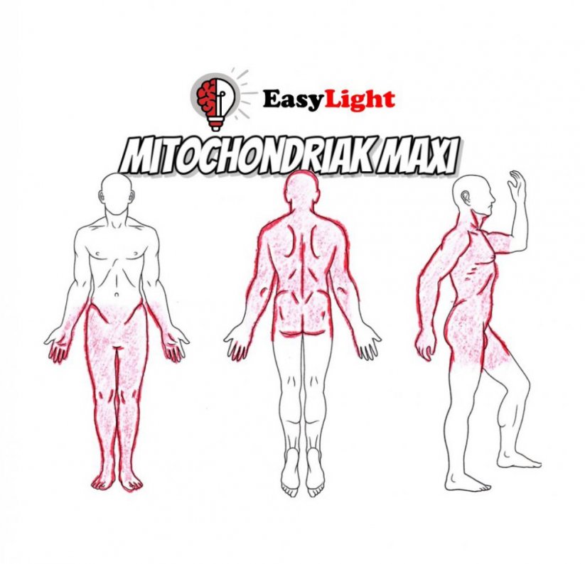 Panel EasyLight Mitochondriak Maxi