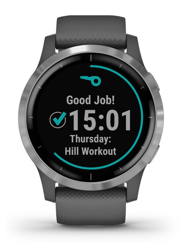 Garmin VÍVOACTIVE 4 shadow gray / silver