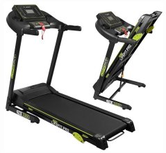 Lifefit TM3300