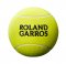 Wilson MINI JUMBO BALL Roland Garros žltá