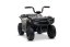 Elektrická čtyřkolka Beneo Arctic Cat 12V se zadním pohonem, šedá, LED světla, lithiová baterie, 2 x 25W motor, originální licence