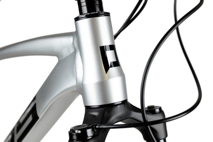 Horský bicykel Pells Razzer Evo 2 2024 silver