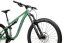 Horský bicykel Pells Tarpan AM 3 2024 moss green