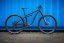 Horský bicykel Pells Tarpan TR 2 2024 black