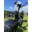 Elektrická kolobežka Lera Scooters C1+ 1500W čierna