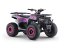 Benzínová štvorkolka pre deti Beneo Motors WARRIOR ružová - 125cm3