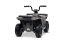 Elektrická čtyřkolka Beneo Arctic Cat 12V se zadním pohonem, šedá, LED světla, lithiová baterie, 2 x 25W motor, originální licence