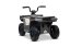 Elektrická čtyřkolka Beneo Arctic Cat 12V se zadním pohonem, šedá, LED světla, lithiová baterie, 2 x 25W motor, originální licence