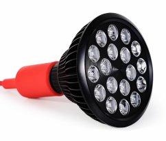MITO LIGHT® Bulb 4.0
