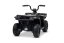 Elektrická čtyřkolka Beneo Arctic Cat 12V se zadním pohonem, černá, LED světla, lithiová baterie, 2 x 25W motor, originální licence