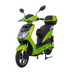 Elektroskúter RACCEWAY® E-FICHTL®, sv.zelený-metalický, bez batérie