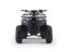 Benzínová čtyřkolka pro děti Beneo Motors WARRIOR zelená - 125cm3