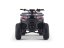 Benzínová štvorkolka pre deti Beneo Motors WARRIOR červená - 125cm3
