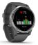 Garmin VÍVOACTIVE 4 shadow gray / silver