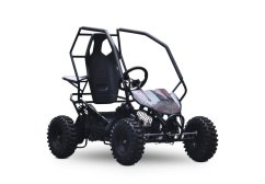 Elektrická buggy Leramotors Razor II Deluxe 1000W čierna