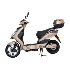 Elektroskúter RACCEWAY® E-FICHTL®, zlatý-lesklý, bez batérie