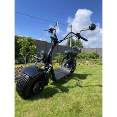 Elektrická kolobežka Lera Scooters C1+ 1500W čierna