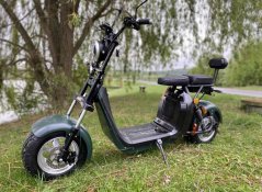 Elektrická koloběžka Lera Scooters C2 2000W zelená