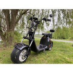 Elektrická koloběžka Lera Scooters C2 2000W černá