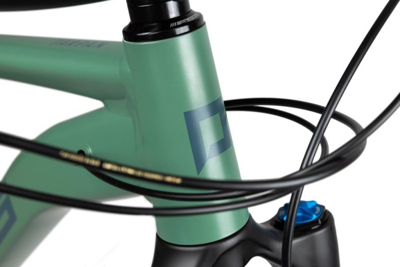 Horský bicykel Pells Tarpan AM 1 2024 moss green