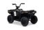 Elektrická čtyřkolka Beneo Arctic Cat 12V se zadním pohonem, černá, LED světla, lithiová baterie, 2 x 25W motor, originální licence
