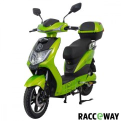 Elektroskúter RACCEWAY® E-FICHTL® 250W 20Ah, sv.zelený-metalický