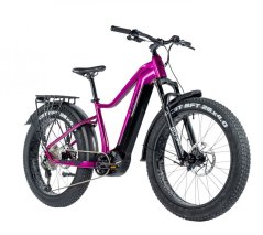 FAT e-bike Leader Fox Brasa 26" 2024 fialový