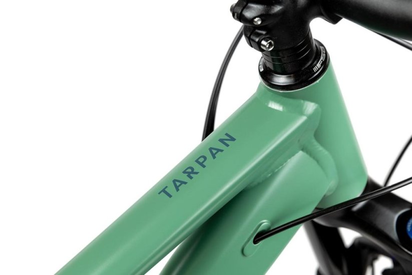 Horský bicykel Pells Tarpan AM 3 2024 moss green