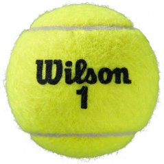 Wilson Roland Garros antukový kurt 2x 4ball