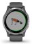 Garmin VÍVOACTIVE 4 shadow gray / silver