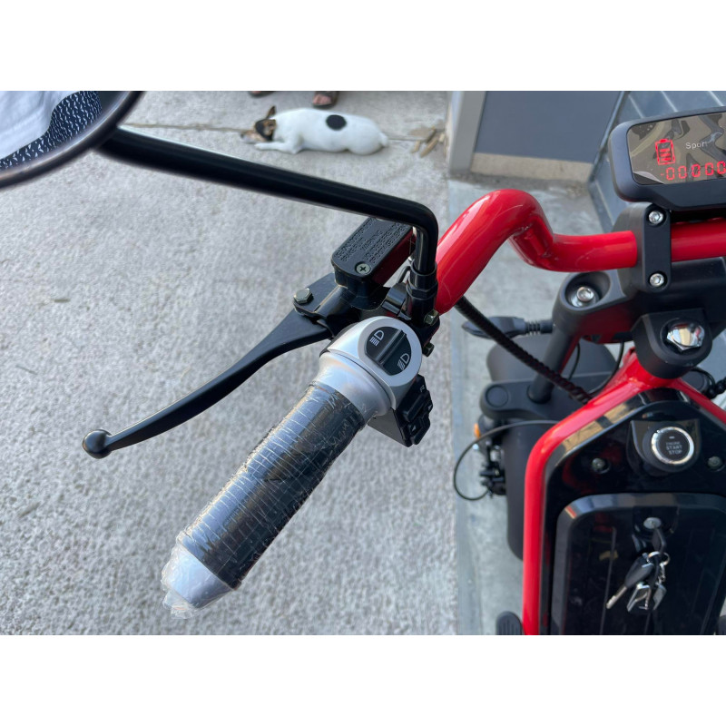Elektrická koloběžka Lera Scooters C6 2000W červená