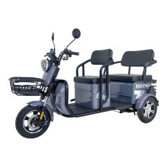 Elektrický dvoumístný vozík RACCEWAY® E-BUS, fialový