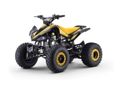Benzínová čtyřkolka pro děti Beneo Motors ZXT žlutá - 125cm3
