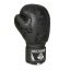 Boxerské rukavice DBX Bushido B-2v18